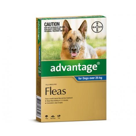 advantage_Extra_Large_Dog_393e0460-5c57-4490-aa75-b5213b04456f-1