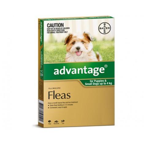 advantage_green_small_7631cfd6-2358-4cad-adb7-898cabde6ad6-1