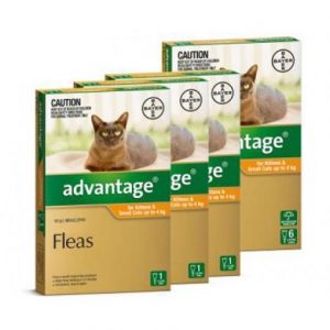 Flea Treatment For Cats