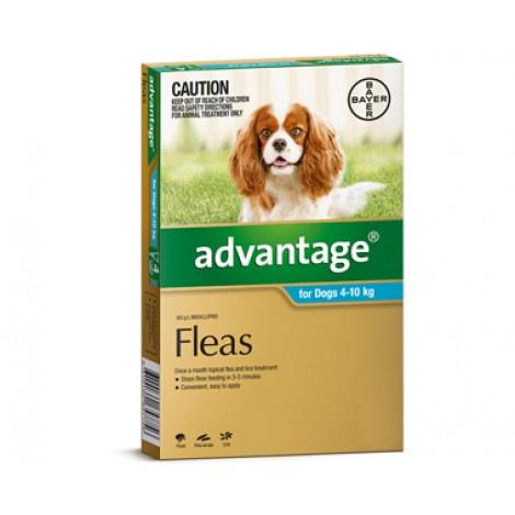 advantage_teal_medium_95b635de-d7f3-4a8f-ae49-6086efdb2e0e-1