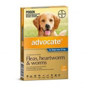 advocate-dog-extra-large-grey__26973.1554391211-1