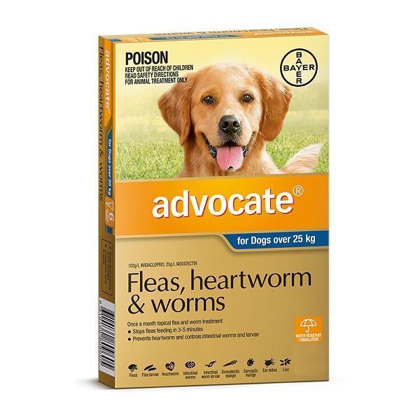 advocate-dog-extra-large-grey__26973.1554391211-1