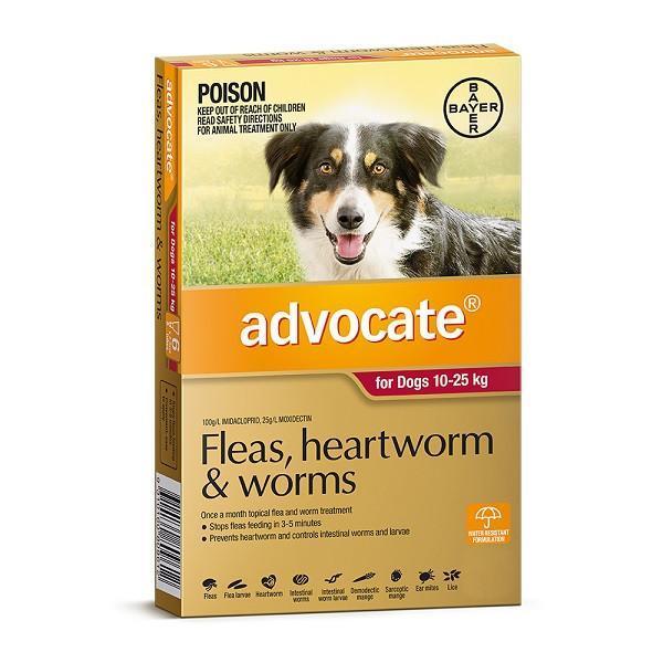 advocate-dog-large-red__58498.1554391198_fb2df3c8-7008-45b2-ac63-ba993e04b0c9-1