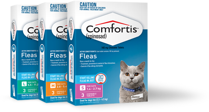 comfortis-cats-27_3062399c-a6df-4cae-8e5d-e1559b1a560a-1