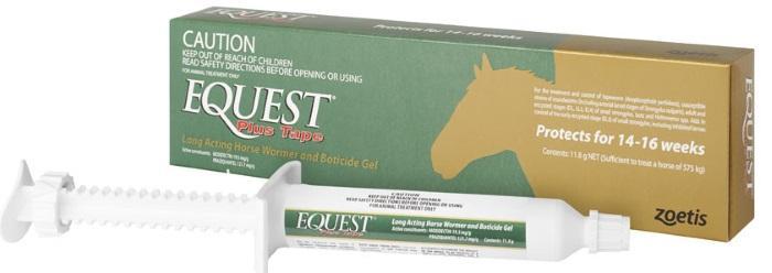 equest-1